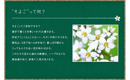 かの蜂 国産 そよご 蜂蜜 300g (瓶) 純粋はちみつ 024-073