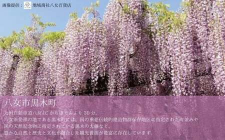 マルモ醤油店　二段熟成醸造しょうゆ（こいくち）１，０００ｍｌ　072-084