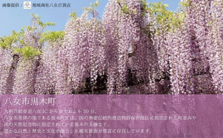 マルモ醤油店　国産大豆裸麦使用　田舎もろみ　072-086