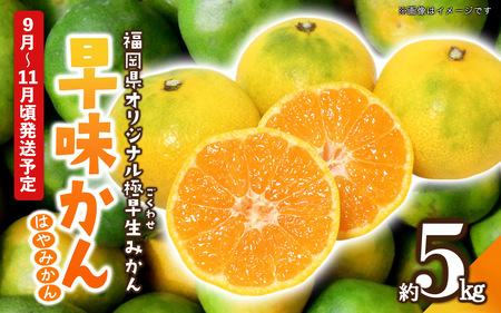 先行受付】2026年の秋に配送！福岡県オリジナル品種極早生みかん『早味