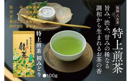 【八女・お茶村】特上煎茶《初みどり》と玉露《すずか》玉露入り旨味だしのセット　077-003