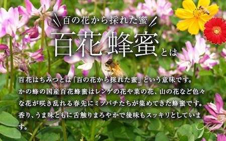 かの蜂 国産 百花 蜂蜜 11kg（500g×10本、1kg×6本）大容量 純粋はちみつ　024-076