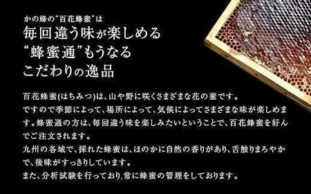 かの蜂 国産 百花 蜂蜜 11kg（500g×10本、1kg×6本）大容量 純粋はちみつ　024-076