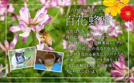 かの蜂 国産 百花 蜂蜜 1.8kg（300g×6本）純粋はちみつ　※エコパックはちみつ90g付き　024-080