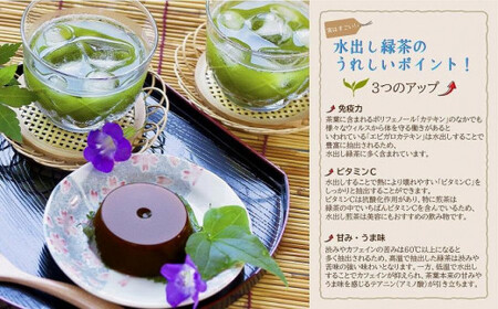 古賀製茶本舗　八女茶の一番茶だけで作った　水出し煎茶ティーバッグ　５ｇ×１５個入　072-117