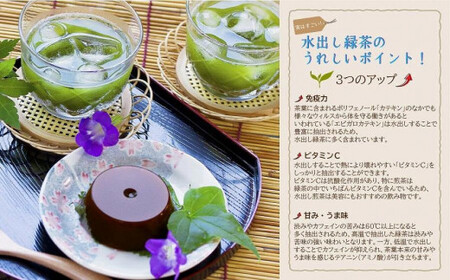 古賀製茶本舗　八女茶の一番茶だけで作った　水出し煎茶ティーバッグ　たっぷり５ｇ×７５個入 八女茶 煎茶 緑茶 免疫力 ビタミンC ティーバッグ 072-118