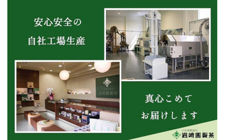 八女茶100％ マグカップ用煎茶ティーバッグ  たっぷり75個！ 2.5g×25個入×３袋＜岩崎園製茶＞　075-032