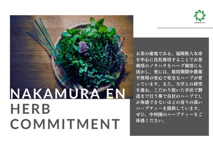 中村園　八女産ブレンドハーブティー4種セット　ティーパック 047-001