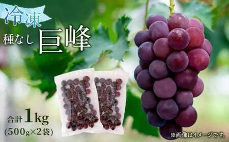 【冷凍】 かの蜂 冷凍フルーツ 巨峰 種なし 1kg （500g×2袋）  国産 種なし巨峰　024-084