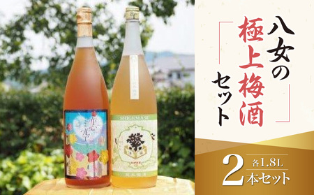 八女の極上梅酒セット 純米酒仕込み 飲み比べ お酒 本格梅酒 ロック 福岡県 八女市 015-013