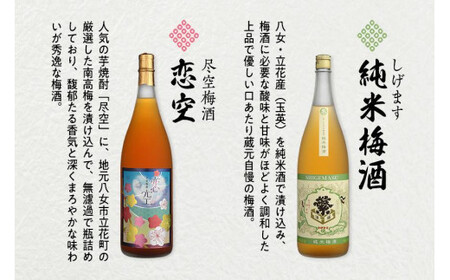 八女の極上梅酒セット 純米酒仕込み 飲み比べ お酒 本格梅酒 ロック 福岡県 八女市 015-013