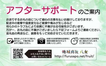  【2025年3月配送開始】福岡・博多名物ブランドいちご「あまおう」 DX（デラックス）4パック 合計約1,080g＜配送不可：北海道・沖縄・離島＞ 072-137