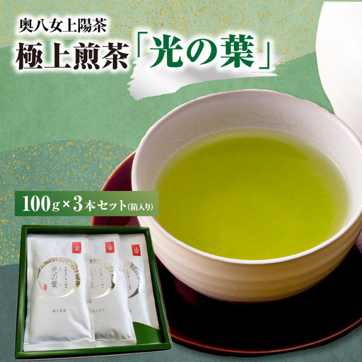 奥八女上陽茶　極上煎茶「光の葉」100ｇ×3本セット箱 178-001