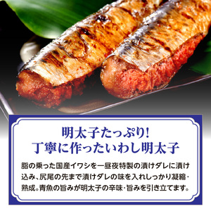 【博多漁師の里】福岡名物！いわし明太子２０尾（５尾×４パック）化粧箱入り 国産真いわし使用 化粧箱入り　国産真いわし使用 鰯 イワシ 旬 魚 めんたいこ ご飯のお供 おつまみ おかず 冷凍 真空パック 便利 簡単調理 美味しい 072-133