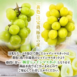 福岡八女 お楽しみ夏のフルーツ定期便C|<配送不可:北海道・沖縄・離島> 072-T028