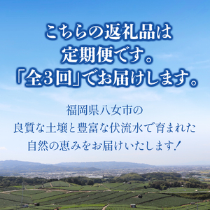 福岡八女　お楽しみ夏のフルーツ定期便D｜＜配送不可：北海道・沖縄・離島＞　072-T029