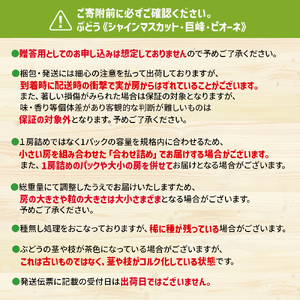 福岡八女 お楽しみ夏のフルーツ定期便A ぶどう シャインマスカット 梨|<配送不可:北海道・沖縄・離島> 072-T026