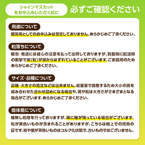 福岡・八女お楽しみプレミアム定期便【シルバー】全20回※配送不可地域:北海道・離島(沖縄本島を含む) 072-T055