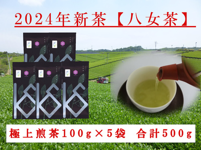 【2024年新茶予約】八女茶 極上煎茶 　100g×5袋【2024年5月上旬発送予定】 068-017