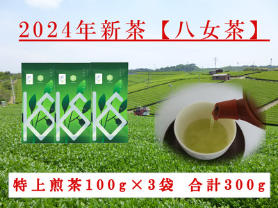 2024年新茶予約】八女茶 特上煎茶 100g×3袋【2024年5月上旬発送予定