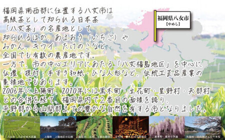 和牛と福岡・八女のうまかもんが届く　お楽しみ贅沢極み定期便【全１２回】～八女られんコース～｜＜配送不可：北海道・沖縄・離島＞　072-T061