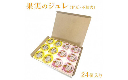 果実のジュレ（甘夏みかん、不知火みかん）24個（2種：12個セット×2箱）　007-024