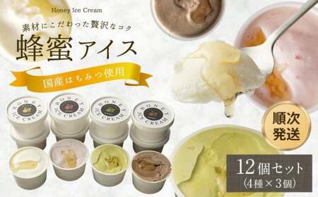 【冷凍】 かの蜂 国産はちみつ アイスクリーム 12個セット （4種×3個） ミルク チョコレート ストロベリー ピスタチオ｜ジェラート 蜂蜜の自然な甘さ＜配送不可：北海道・沖縄・離島＞ 024-090