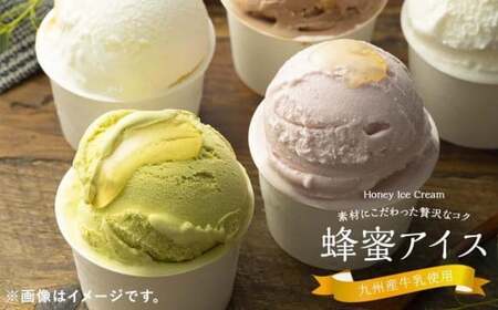 【冷凍】 かの蜂 国産はちみつ アイスクリーム 12個セット （4種×3個） ミルク チョコレート ストロベリー ピスタチオ｜ジェラート 蜂蜜の自然な甘さ＜配送不可：北海道・沖縄・離島＞ 024-090