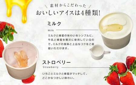 【冷凍】 かの蜂 国産はちみつ アイスクリーム 12個セット （4種×3個） ミルク チョコレート ストロベリー ピスタチオ｜ジェラート 蜂蜜の自然な甘さ＜配送不可：北海道・沖縄・離島＞ 024-090