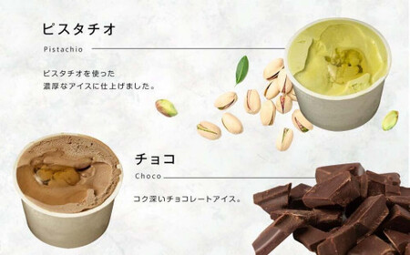 【冷凍】 かの蜂 国産はちみつ アイスクリーム 12個セット （4種×3個） ミルク チョコレート ストロベリー ピスタチオ｜ジェラート 蜂蜜の自然な甘さ＜配送不可：北海道・沖縄・離島＞ 024-090