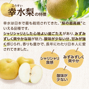 福岡フルーツ定期便【全6回】盛りだくさん果物お届け定期便　JAふくおか八女からお届け！！  梨 豊水 幸水 シャインマスカット みかん ミカン あまおう いちご 貴陽 すもも キウイ くだもの 人気 旬 高糖度 甘い アフター補償 数量限定 期間限定 産地直送 福岡県 八女市 002-T004