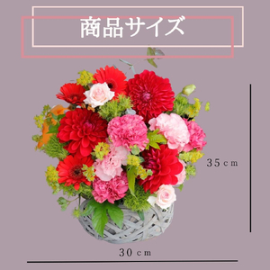 「母の日ギフト」八女のお花を使ったラウンドアレンジメント(赤）＜配送不可：北海道・沖縄・離島＞ 036-005-R