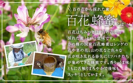 【全3回】 定期便 かの蜂 国産 百花蜂蜜 合計3kg（とんがり容器1kgを毎月1本お届け）　024-T002