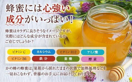【全3回】 定期便 かの蜂 国産 百花蜂蜜 合計3kg（とんがり容器1kgを毎月1本お届け） 純粋はちみつ 024-T002