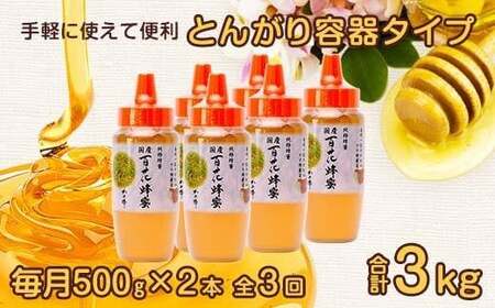 【全3回】 定期便 かの蜂 国産 百花蜂蜜 合計3kg（とんがり容器500gを毎月2本お届け）　024-T003