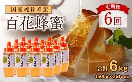 【全6回】 定期便 かの蜂 国産 百花蜂蜜 合計6kg（とんがり容器500gを毎月2本お届け） 純粋はちみつ ハチミツ 非加熱 ハニー 大容量 長期保存 美容 健康 健康食品 定期便 024-T005