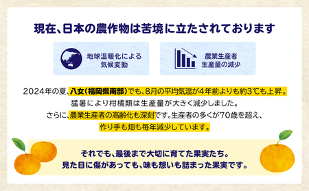 【訳あり】 もったいな果シリーズ 新高梨 缶詰 5号缶×12缶 セット 国産 梨 007-019