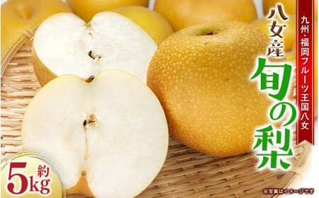 【2026年9月～10月上旬発送予定】九州福岡フルーツ王国八女 旬の梨 約5kg ＜配送不可：北海道・沖縄・離島＞ フルーツ くだもの 果物 なし ナシ 甘太 新興 王秋 産地直送 旬 秋の味覚 デザート 九州 福岡 フルーツ王国 八女 072-162