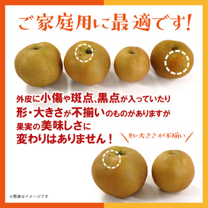 【2026年9月～10月上旬発送予定】九州福岡フルーツ王国八女 旬の梨 約5kg ＜配送不可：北海道・沖縄・離島＞ フルーツ くだもの 果物 なし ナシ 甘太 新興 王秋 産地直送 旬 秋の味覚 デザート 九州 福岡 フルーツ王国 八女 072-162