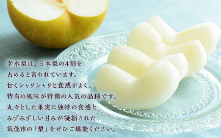 幸水梨 約3kg 5～8玉【2025年7月上旬～8月上旬発送】 ナシ 梨 果物 フルーツ 福岡県産