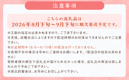  豊水梨 約3kg 5～8玉【2026年8月下旬から9月下旬発送予定】 ナシ 梨 果物 フルーツ 福岡県産