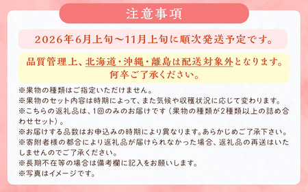 旬の果物 詰め合わせ セット 福岡県産 フルーツ 季節 果物 【2026年6月上旬から11月上旬頃発送予定】