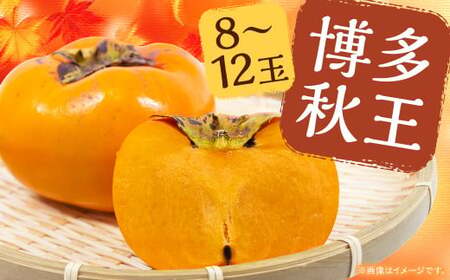 博多 秋王 8~12玉 柿 甘柿 果物 フルーツ お取り寄せ 福岡県産 九州 【2026年10月上旬から11月上旬まで順次発送予定】