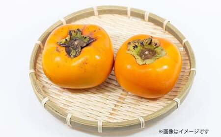 博多 秋王 8~12玉 柿 甘柿 果物 フルーツ お取り寄せ 福岡県産 九州 【2026年10月上旬から11月上旬まで順次発送予定】