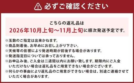 博多 秋王 8~12玉 柿 甘柿 果物 フルーツ お取り寄せ 福岡県産 九州 【2026年10月上旬から11月上旬まで順次発送予定】