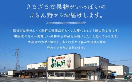新興梨 9～12玉 約5kg【2025年9月下旬～10月下旬発送】 ナシ 梨 果物 フルーツ 福岡県産