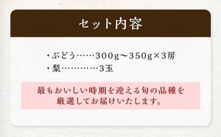 数量限定 よらん野 特選 梨 と ぶどう セット（品種おまかせ） 【2026年8月上旬～9月下旬発送】 幸水 豊水 新興 葡萄 巨峰 ピオーネ 果物 フルーツ