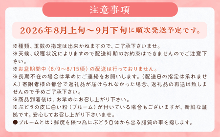 数量限定 よらん野 特選 梨 と ぶどう セット（品種おまかせ） 【2026年8月上旬～9月下旬発送】 幸水 豊水 新興 葡萄 巨峰 ピオーネ 果物 フルーツ