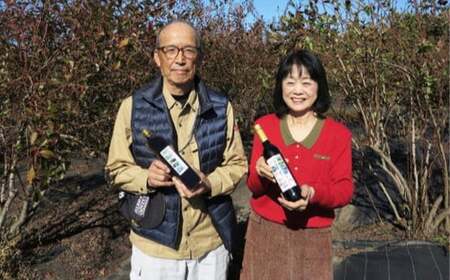 冷凍 ブルーベリー  約1kg 約200g×5 【2025年8月上旬発送開始】 果物 フルーツ デザート おやつ お取り寄せ  冷凍