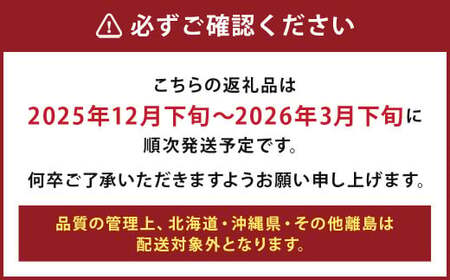 希少な地元産いちご 『みつのか』 280g×4パック 計1.12kg 【2025年12月下旬から2026年3月下旬発送予定】